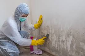 Forensic Mold Investigation in Citrus Springs, FL